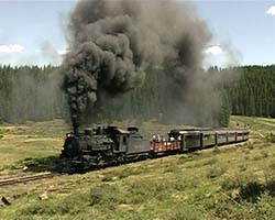 489 rounds Tanglefoot Curve. June 2000.