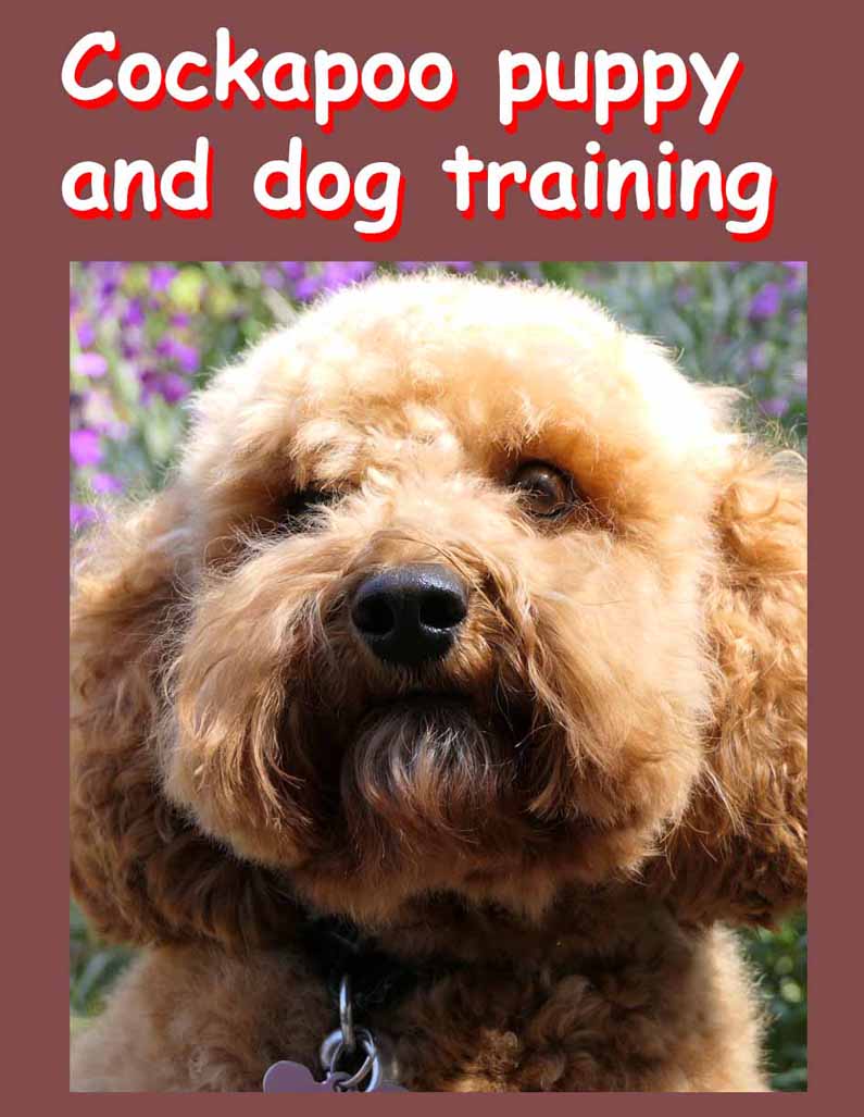Cockapoo puppy training DVD cover